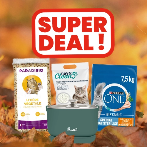 Super Deal